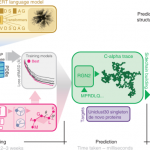 Single-sequence protein structure prediction using a language model and deep learning