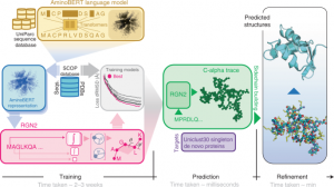 Single-sequence protein structure prediction using a language model and deep learning