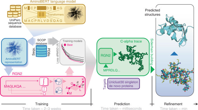 Single-sequence protein structure prediction using a language model and deep learning