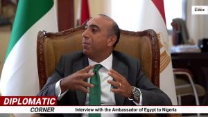 INTERVIEW (1): How Africa can push its agenda at COP27 – Egyptian Ambassador