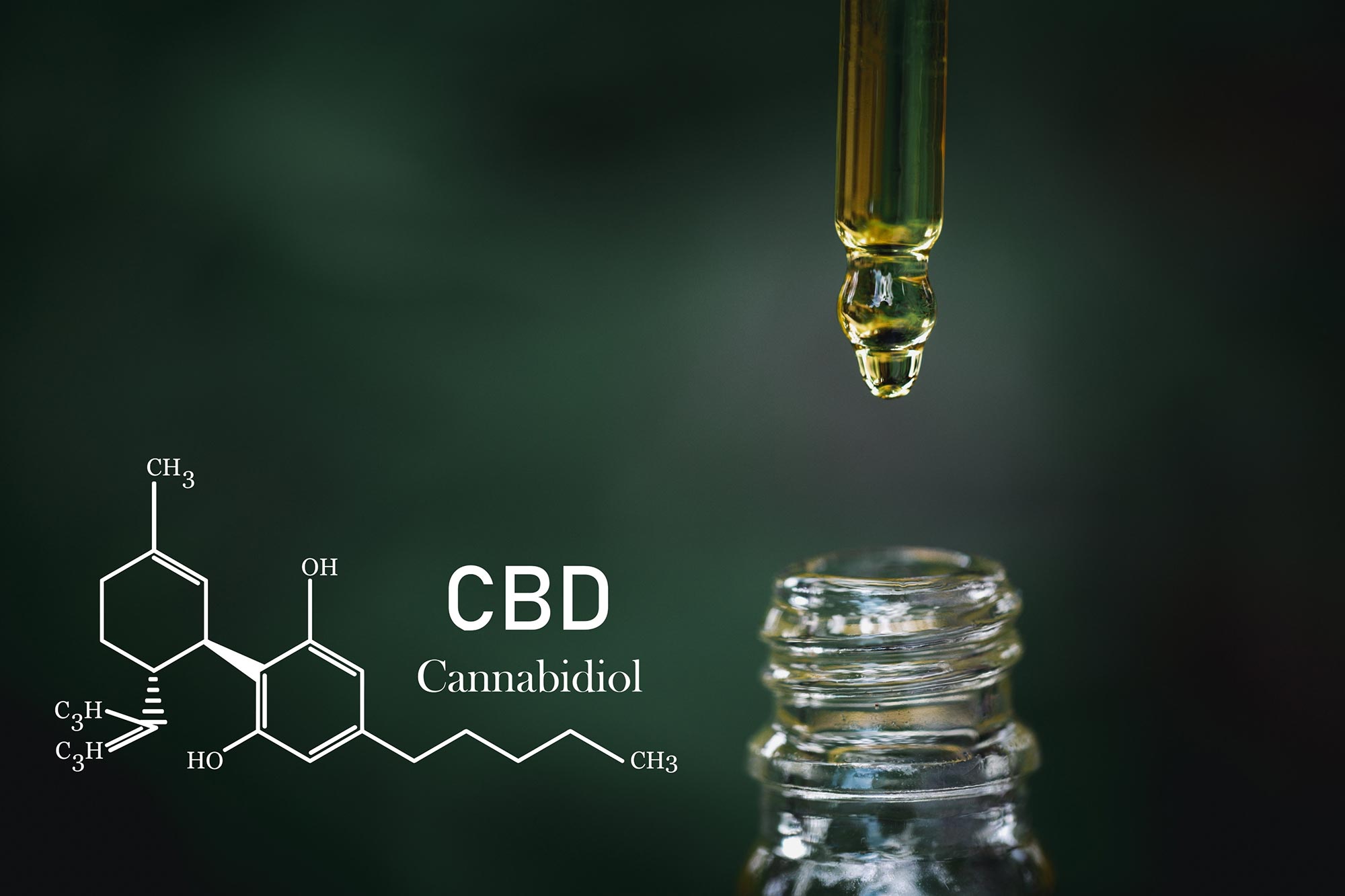 The Science Behind CBD’s Health Benefits – The Endocannabinoid System