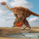 Ostrich-Like Dinosaurs Grew to Enormous Sizes in Cretaceous North America, Paleontologists Say