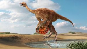 Ostrich-Like Dinosaurs Grew to Enormous Sizes in Cretaceous North America, Paleontologists Say