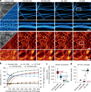 Combining a deep neural network with physical properties for super-resolution live imaging