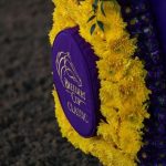 Breeders’ Cup 2022 Betting Odds For All 14 Championship Races