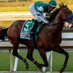 Breeders’ Cup Classic 2022: Betting, Runners & Keeneland Picks