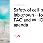 Safety of cell-based — lab-grown — food on FAO and WHO agenda