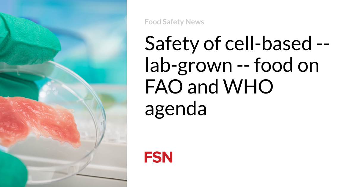 Safety of cell-based — lab-grown — food on FAO and WHO agenda