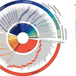 Capturing the diversity of protein modifications on presented tumor antigens