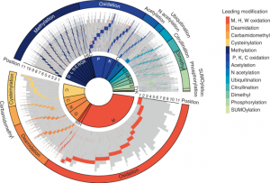 Capturing the diversity of protein modifications on presented tumor antigens