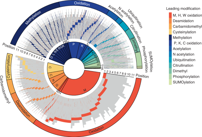 Capturing the diversity of protein modifications on presented tumor antigens