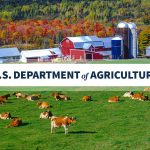 USDA Invests $14.2 Million in 52 Urban Agriculture and Innovative Production Efforts