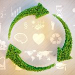 Uniting Technology and Sustainability to Drive Value