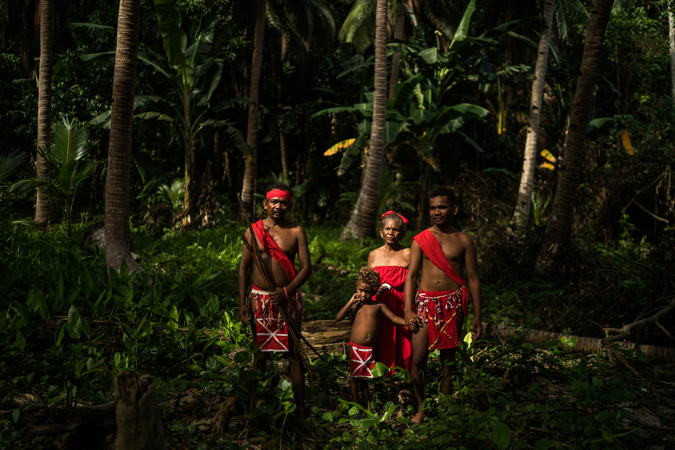 The world’s healthiest forests are on Indigenous land. Here’s why.