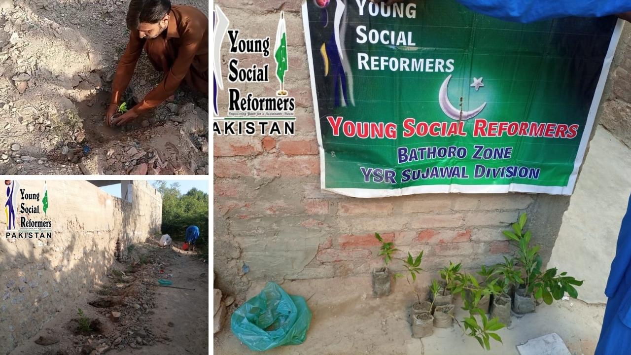 Young Social Reformers Sujawal team began a drive to plant trees in less privileged places