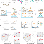 Multi-omic single-cell velocity models epigenome–transcriptome interactions and improves cell fate prediction