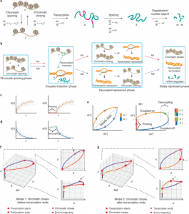 Multi-omic single-cell velocity models epigenome–transcriptome interactions and improves cell fate prediction