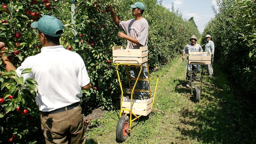 France attempts to match immigration policies with labour needs