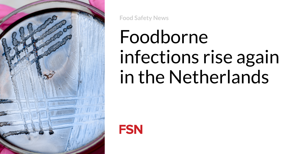 Foodborne infections rise again in the Netherlands