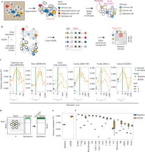 Modeling intercellular communication in tissues using spatial graphs of cells