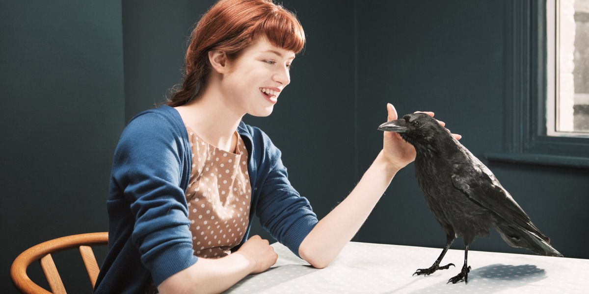 The Download: befriending crows, and Twitter under Musk