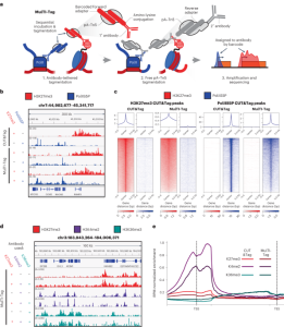 Multifactorial profiling of epigenetic landscapes at single-cell resolution using MulTI-Tag