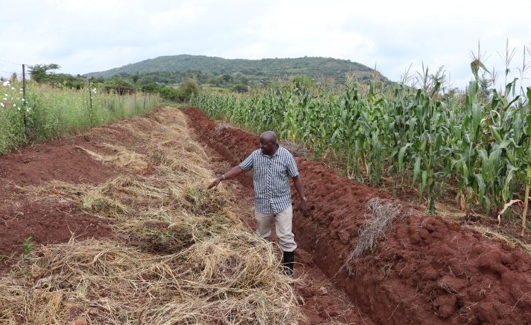 Southern Africa: Interfaith Groups Call for Agroecology to be at the Centre of COP27’s Agenda #AfricaClimateHope