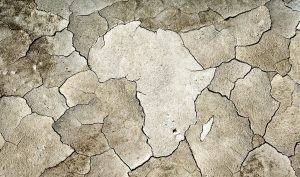 News24.com | COP27 | Africa must push for better in the fight for climate finance, say experts