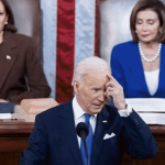 AJ RICE: Joe Biden– American Meat Puppet