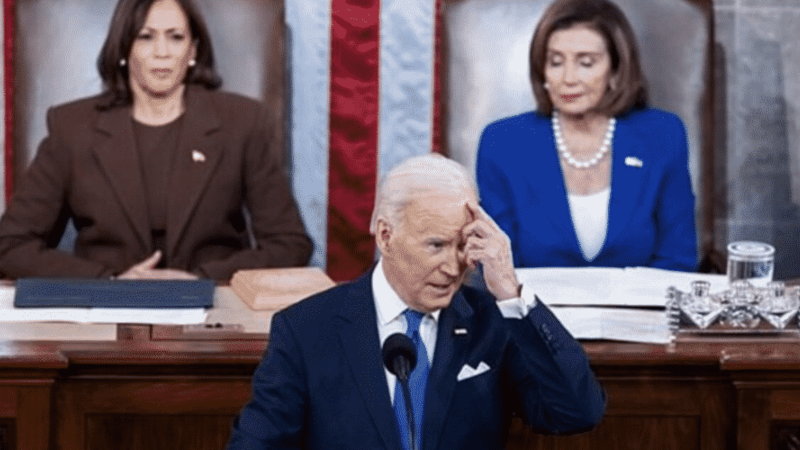 AJ RICE: Joe Biden– American Meat Puppet