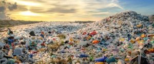 Sustainable Plastics Could Revolutionize Waste Management In Emerging Markets