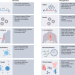 Unlocking the promise of mRNA therapeutics