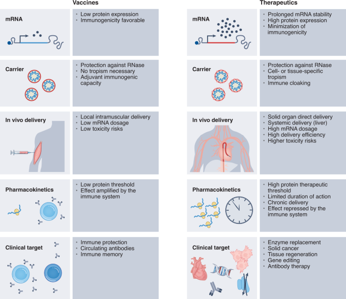 Unlocking the promise of mRNA therapeutics