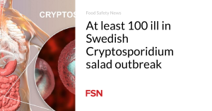 At least 100 ill in Swedish Cryptosporidium salad outbreak