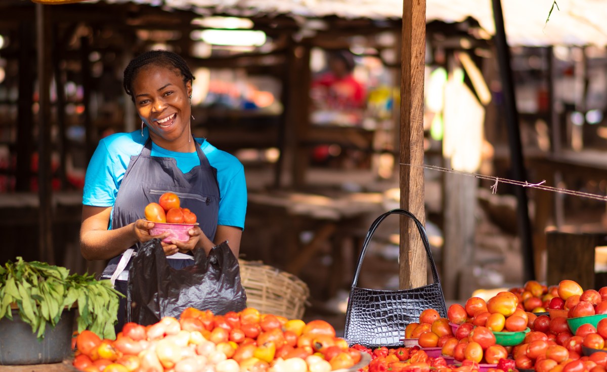 Africa: IMF Raises Concerns About Food Security in Nigeria, Other Sub-Saharan African Countries