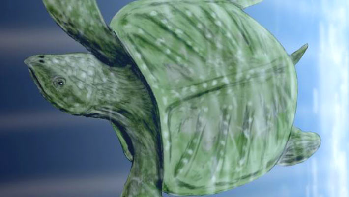 Gigantic Turtle Species Lived in Europe 78 Million Years Ago