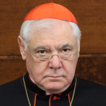 Card. Müller Compares ‘Pagan’ German Bishops To Nazis