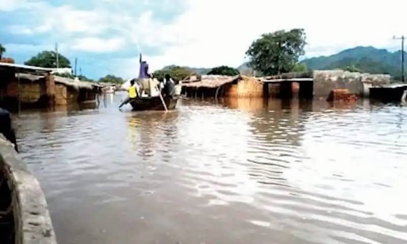 Flood: Most Anambra farmers died because they couldn’t leave their crops –  Obimuonso