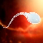 Looming Crisis: Alarming Study Shows Significant Decline in Sperm Counts Globally