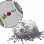 Nanotechnology Breakthrough Makes Cancer Immunotherapy More Effective Against Solid Tumors