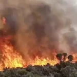 Tanzanian firefighters battle blaze on Mount Kilimanjaro