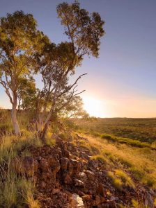 South Africa’s largest gold miner buys into Australian copper with $360 million deal