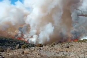 Mount Kilimanjaro fire under control: Tanzania authorities