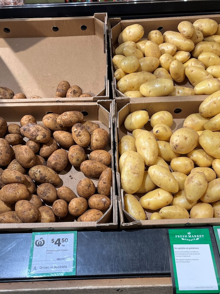 Supermarkets, takeaway shops face low potato supply as wet conditions impact harvest