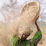 IFAD and EU provide support to Malian diaspora to boost investments in agricultural sector | Mirage News