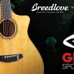 Breedlove Performer Pro Demo