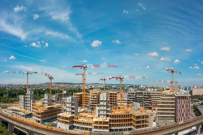 Forest of cranes towers over timber development