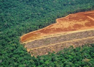 What are industry’s concerns about Europe’s proposed deforestation law?