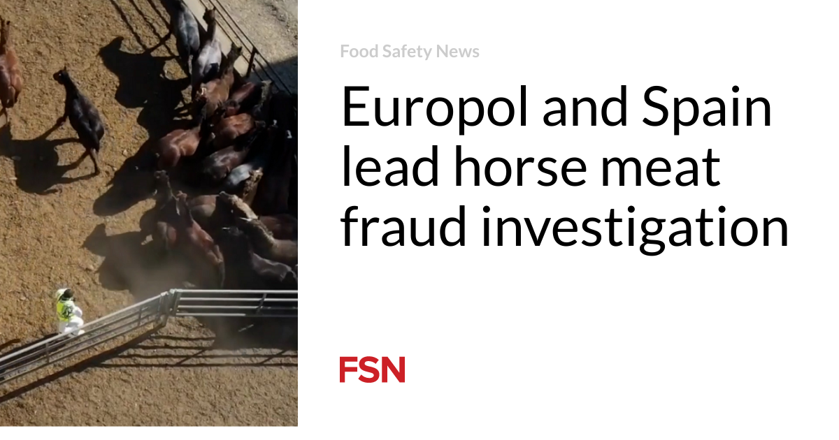 Europol and Spain lead horse meat fraud investigation