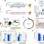 High-throughput retrieval of target sequences from complex clone libraries using CRISPRi